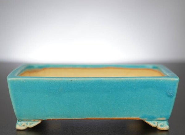 Bonsai Schale Shibakatsu Tokoname 15,5x12x5