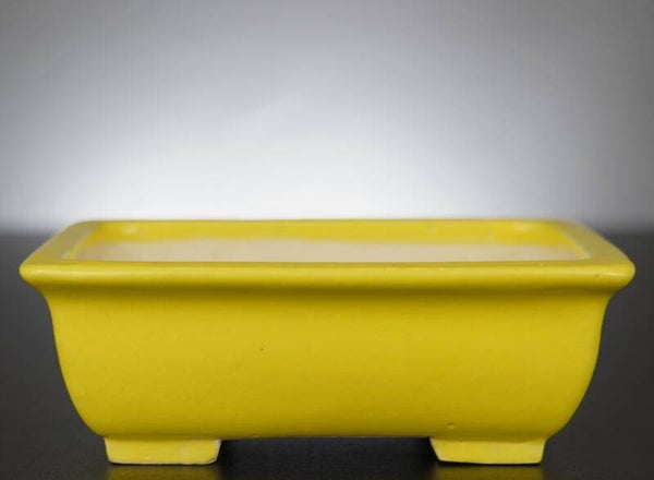 Bonsai Schale Shibakatsu Tokoname 16x12,5x5,5