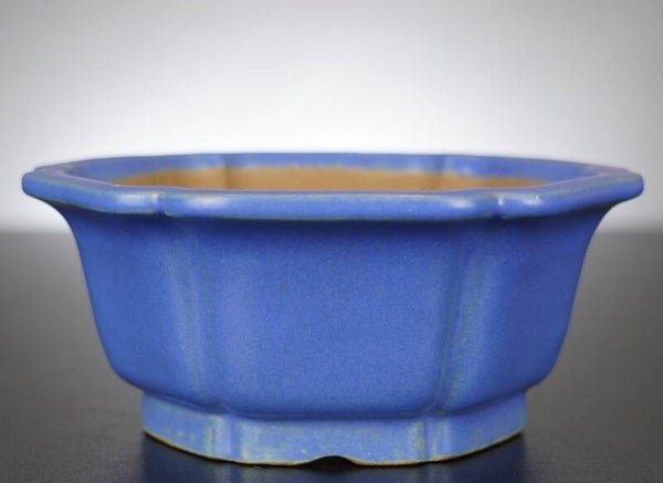 Bonsai Schale Shibakatsu Tokoname 16x16x7