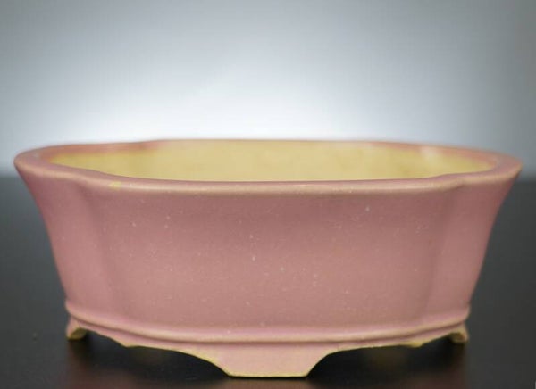 Bonsai Schale Shibakatsu Tokoname 19x17x7