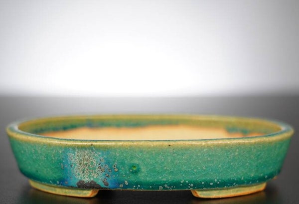 Bonsai Schale Koyo Tokoname Japan 15,5x12,5x3