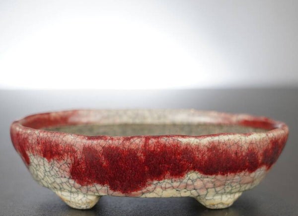 Bonsai Schale Bunzan Japan 13x10,5x3,5