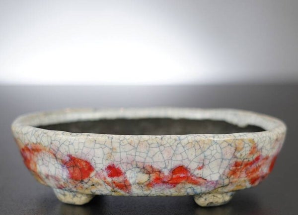 Bonsai Schale Bunzan Japan 12,5x10,5x3