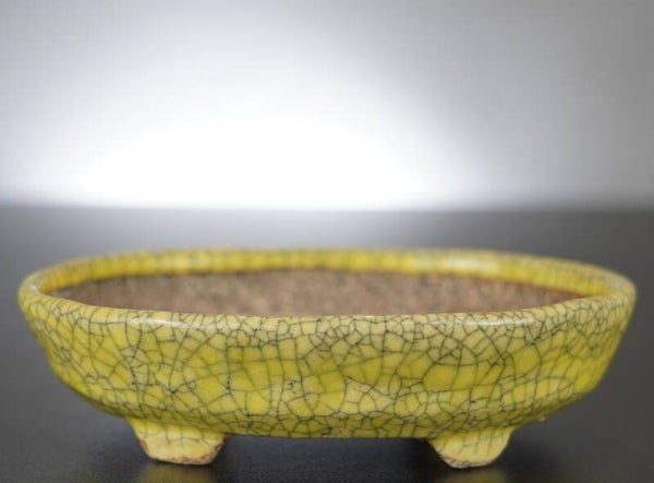 Bonsai Schale Bunzan Japan 15x12,5x4