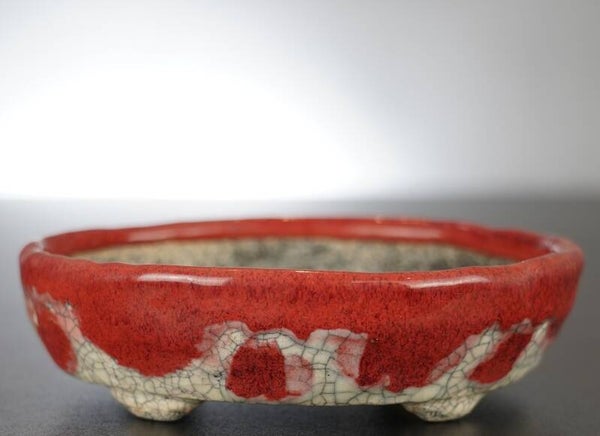 Bonsai Schale Bunzan Japan 13,5x12x3,5