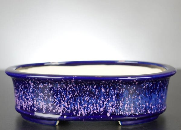 Bonsai Schale Koyo Tokoname Japan 25x20x7