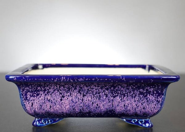 Bonsai Schale Koyo Tokoname Japan 21x17x7