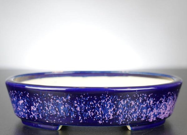 Bonsai Schale Koyo Tokoname Japan 19x15,5x4,5