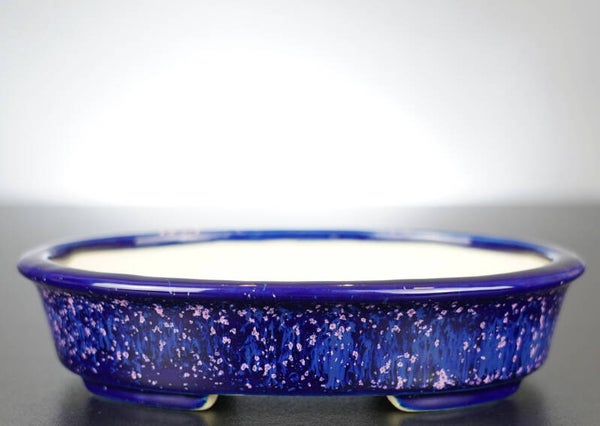 Bonsai Schale Koyo Tokoname Japan 16x13x3,5