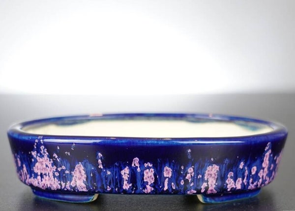 Bonsai Schale Koyo Tokoname Japan 14x11x3