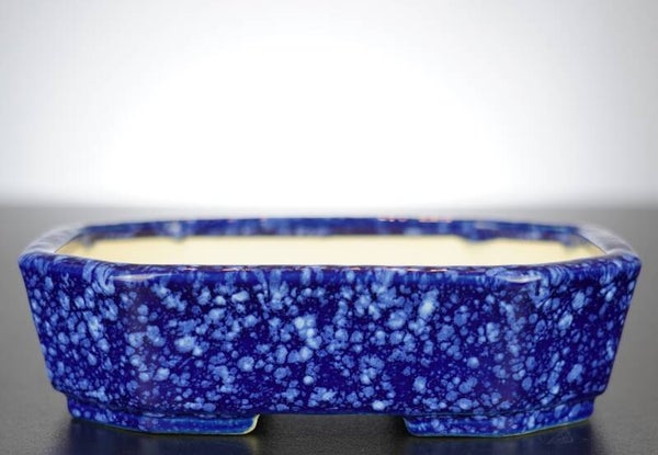 Bonsai Schale Koyo Tokoname Japan 16,5x13x4,5