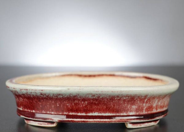 Bonsai Schale Koyo Tokoname Japan 18x14,5x4