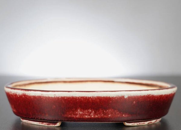 Bonsai Schale Koyo Tokoname Japan 18,5x15x3,5