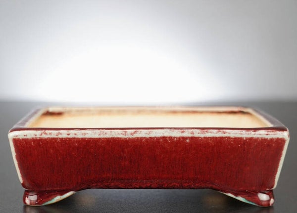 Bonsai Schale Koyo Tokoname Japan 16x12,5x4,5