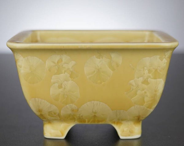 Bonsai Schale Heian Senzan Japan 13x13x8