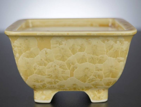 Bonsai Schale Heian Senzan Japan 13x13x8