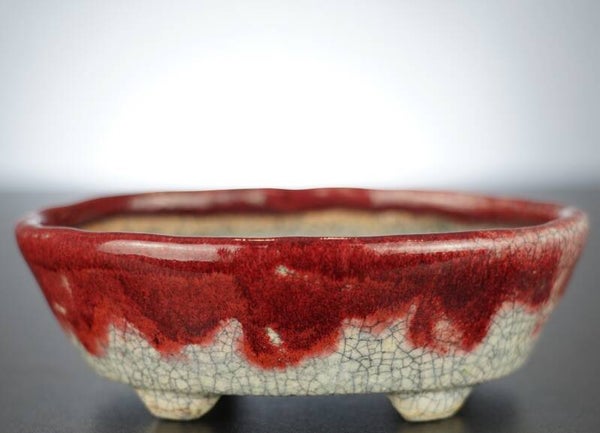 Bonsai Schale Bunzan Japan 14x11,5x4,5