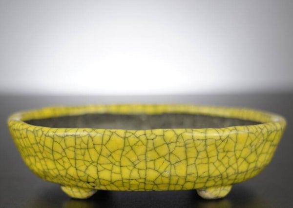 Bonsai Schale Bunzan Japan 14x12x3,5