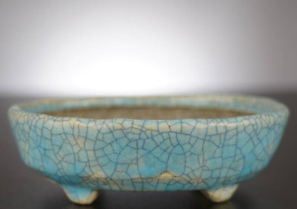 Bonsai Schale Bunzan Japan 15x12x4,5