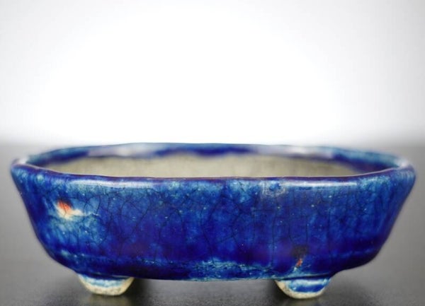 Bonsai Schale Bunzan Japan 13,5x11x4