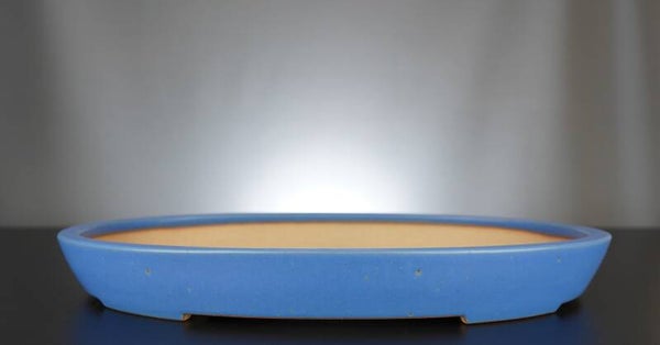 Bonsai Schale Reiho Tokoname Japan 46x30x5,5