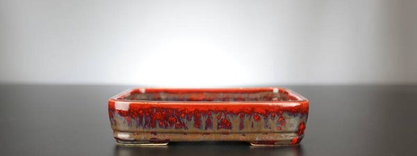 Bonsai Schale J-B Edition 18x13x4