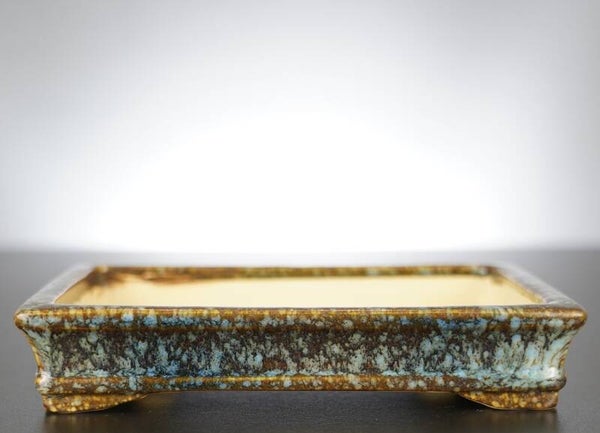 Bonsai Schale Koyo Tokoname Japan 19x15x3,5