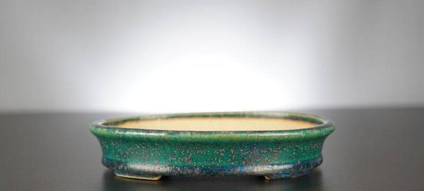 Bonsai Schale Koyo Tokoname Japan 20,5x16x4