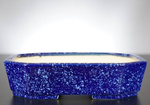 Bonsai Schale Koyo Tokoname Japan 24x18x6