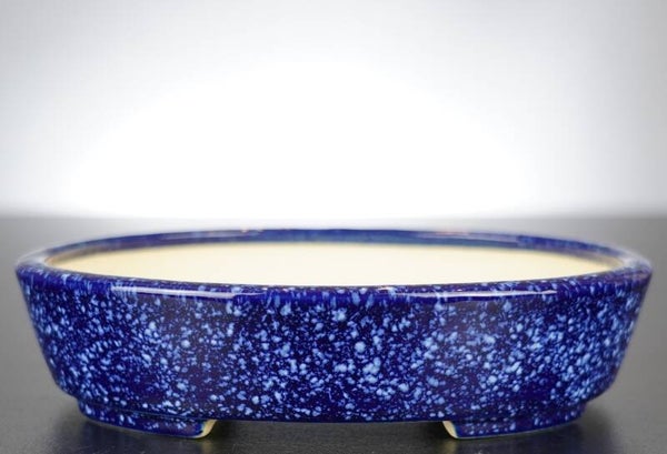 Bonsai Schale Koyo Tokoname 19x15,5x4,5