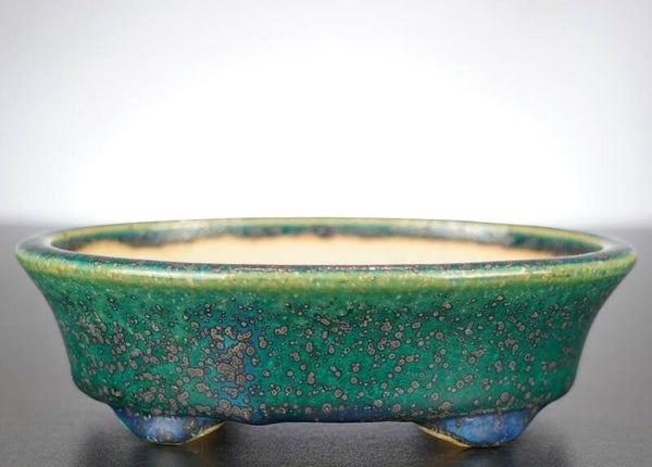 Bonsai Schale Koyo Tokoname 18x14x5