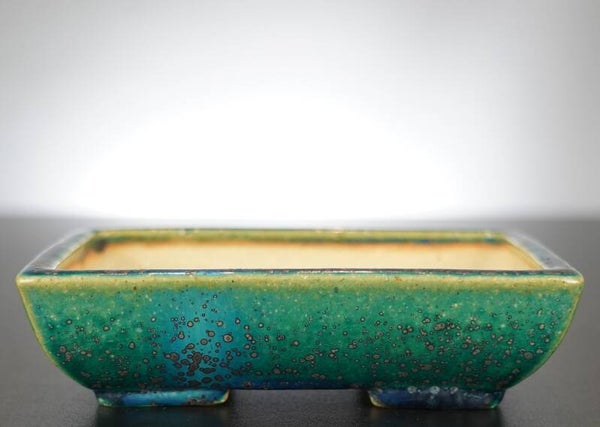 Bonsai Schale Koyo Tokoname 17x13x4,5