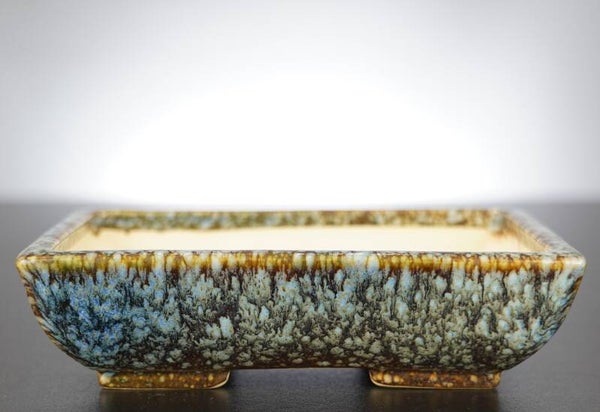 Bonsai Schale Koyo Tokoname 17,5x13x4,5