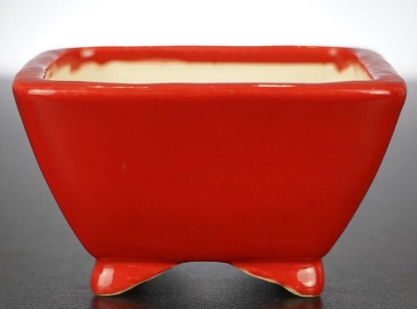 Bonsai Schale Koyo Tokoname 11,5x11,5x6,5