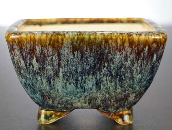 Bonsai Schale Koyo Tokoname 12x12x7