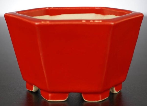 Bonsai Schale Koyo Tokoname 12,5x12,5x8