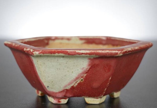 Bonsai Schale Koyo Tokoname 12,5x12,5x5,5