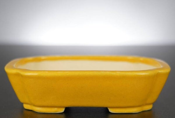 Bonsai Schale Koyo Tokoname 14x11x3,5