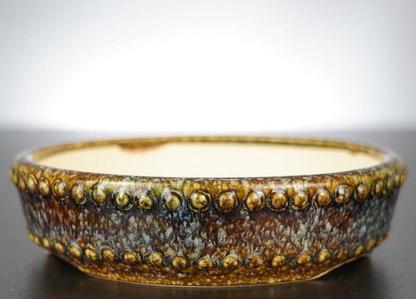 Bonsai Schale Koyo Tokoname 16,5x16,5x4,5