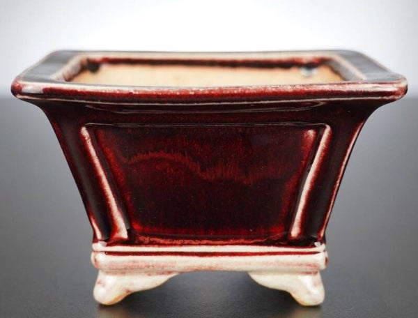 Bonsai Schale Koyo Tokoname 15x15x9