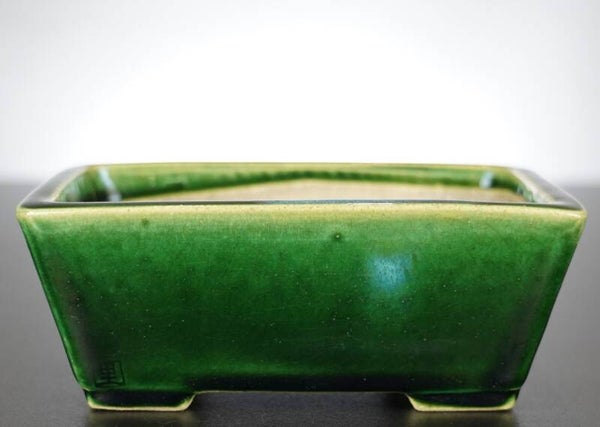 Bonsai Schale Satomi Terahata Tokoname Japan 16x13,5x6