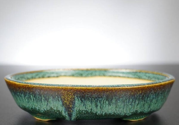 Bonsai Schale Fuka Japan 19x16x4