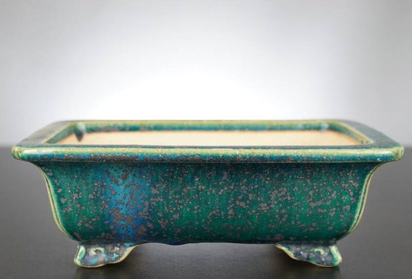 Bonsai Schale Koyo Tokoname Japan 24x19,5x8