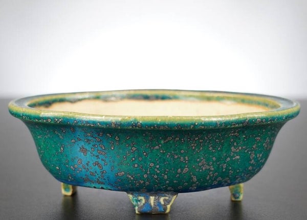 Bonsai Schale Koyo Tokoname Japan 19x16,5x6,5