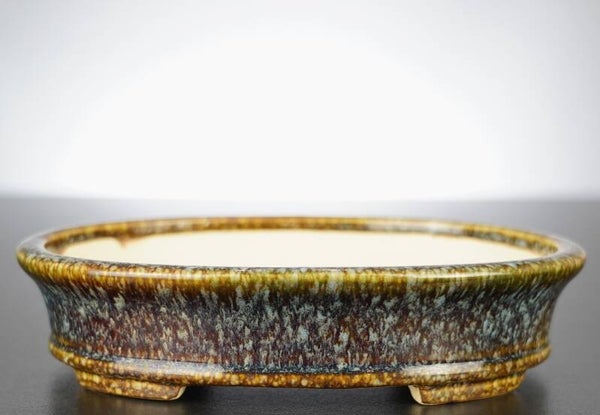 Bonsai Schale Koyo Tokoname Japan 18x15x4