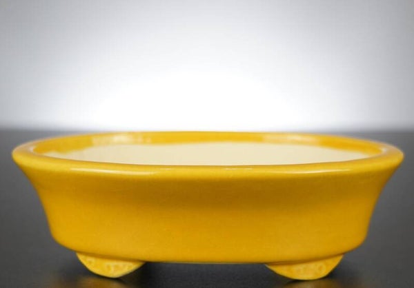 Bonsai Schale Koyo Tokoname Japan 18x14,5x5