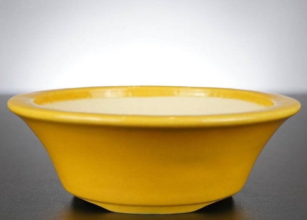 Bonsai Schale Koyo Tokoname Japan 17x17x6