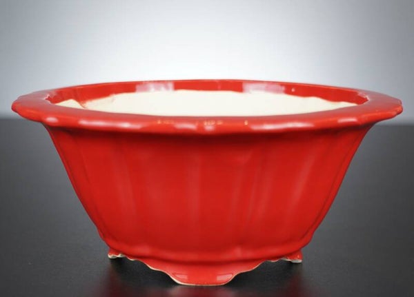 Bonsai Schale Koyo Tokoname Japan 21,5x21,5x9,5