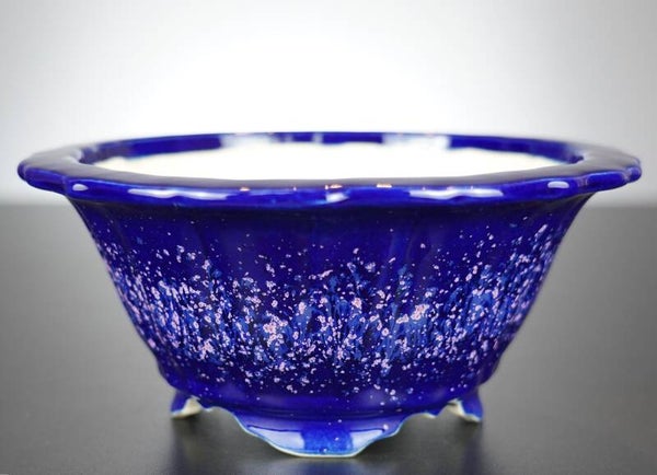 Bonsai Schale Koyo Tokoname Japan 21,5x21,5x9,5