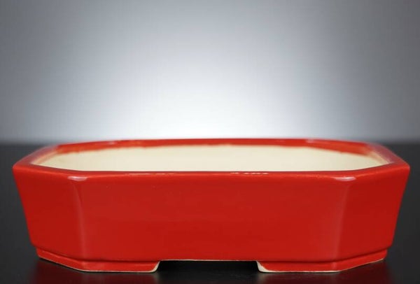 Bonsai Schale Koyo Tokoname Japan 24x18x6